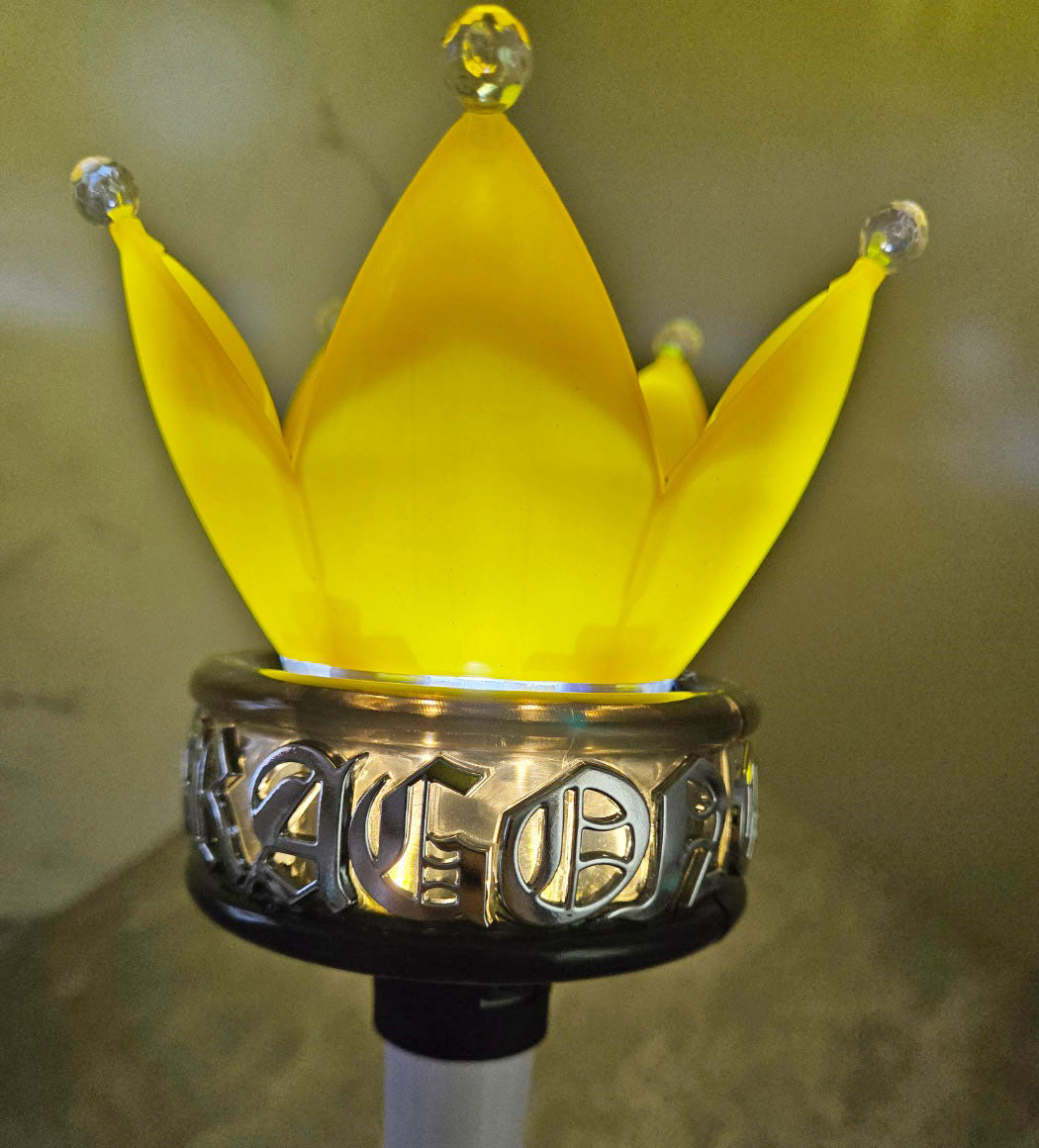 *Special* ALEX H**님 지디 라이트링 (페덱스)